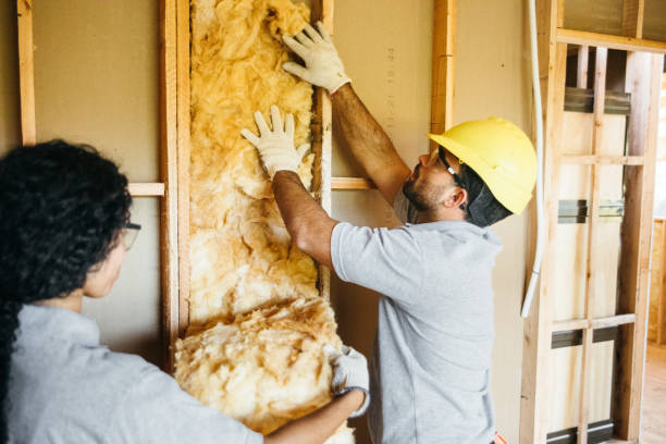 Best Reflective Insulation  in Independence, LA